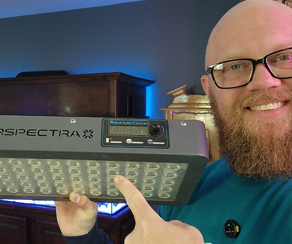 Budget Reef Tank Lighting For Growing Coral – Reef Rookies Top&nbsp;Picks